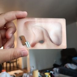 40 Dollars In It 