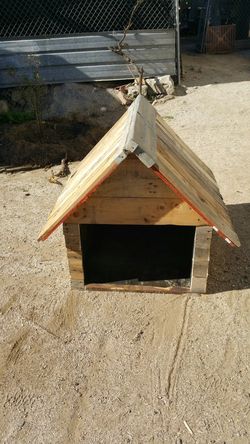 Dog house
