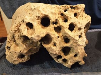 Texas Holy Rock 70lb