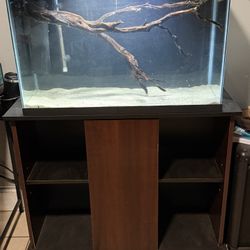 Fish tank Setups