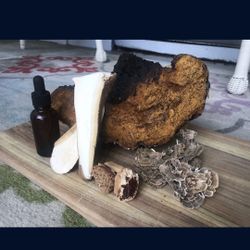 Dual Extract Organic Mushroom