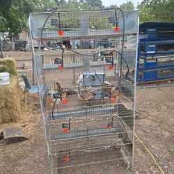 Quail Cage