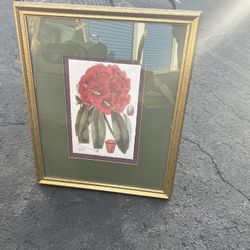 Floral Matted And Framed Wall Art