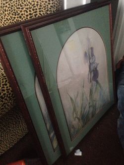 Iris flower painting prints