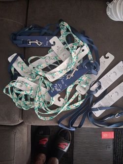 Dog Leashes