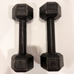 Vintage 8 Lb York Weights (Set Of 2)