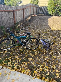 Bikes