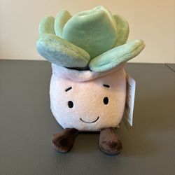 Joyward Plush Succulent Plant Dan Dee 6” Pink Pot 2026 NWT 3+