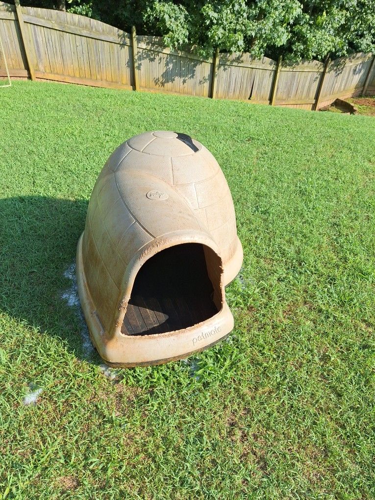 Indigo Dog House