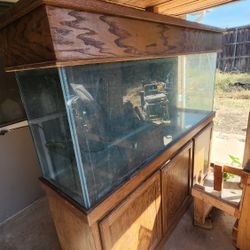165 Gallon Aquarium 