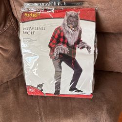 Halloween Costume