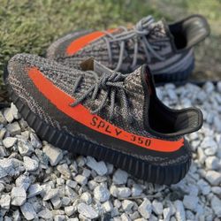 Yeezy Beluga Size 11.5