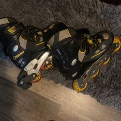 Roller Skates 