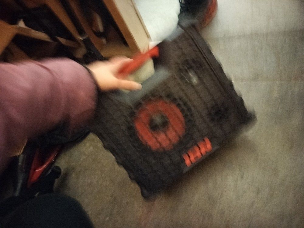 ION speaker