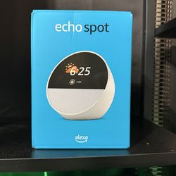 Echo spot