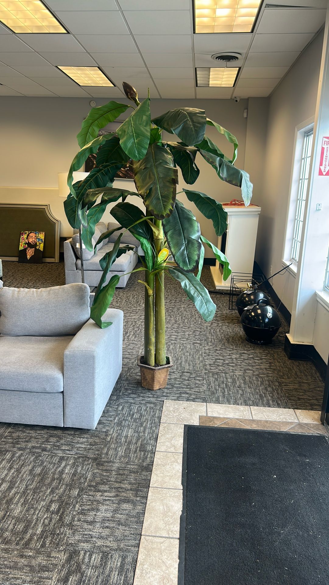 Tall Life Like Corner Plant