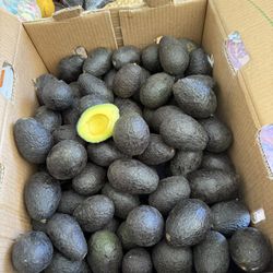 Aguacates 