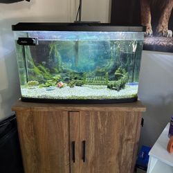 Aquarium with stand