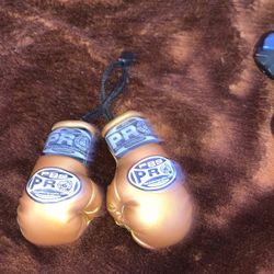 Golden boxing gloves Keychain