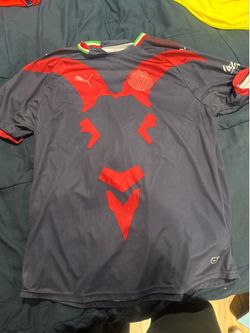 chivas large