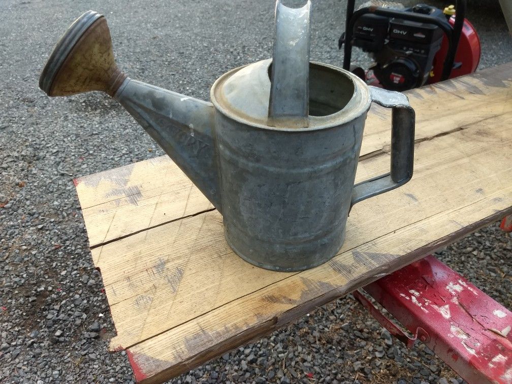 Vintage 1 gallon savory water can with shower spout