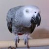 Jim