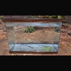 20 Gallon Fish Tank