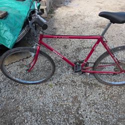 Free Spirit 10speed Bike 