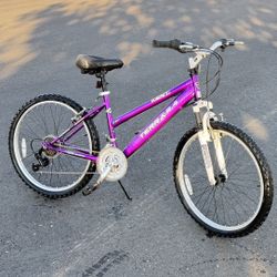Kent Terra 2.4 Mountain Bike