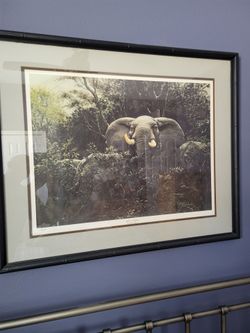 Framed African Elephant Wildlife Art Print