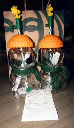 NEW Starbucks x Snoopy Woodstock Glass Cold Cup 🐶🎃 | 2026 Limited Drop