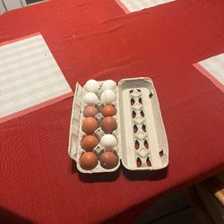 Locally Raised Chicken Eggs For Sale 