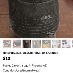 Arizona Fishing Hat 