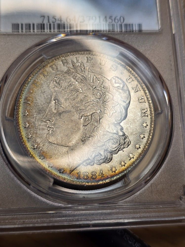 Toned Morgan Dollar