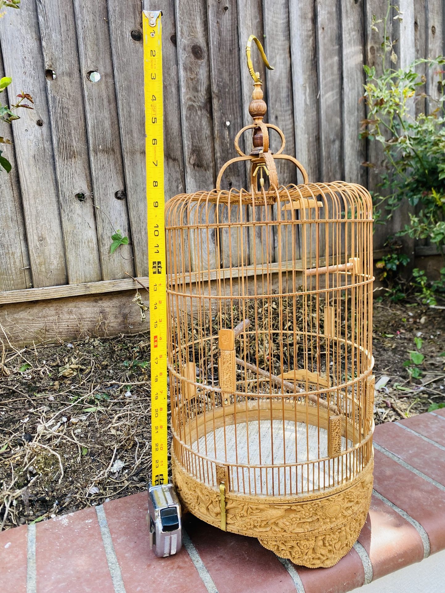Cage BirdS