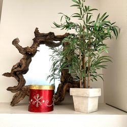 Decorative Plant In Pot Flower In House  Office decoration Home decor 