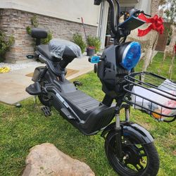 New Electric Bike