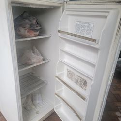 Freezer For Sale