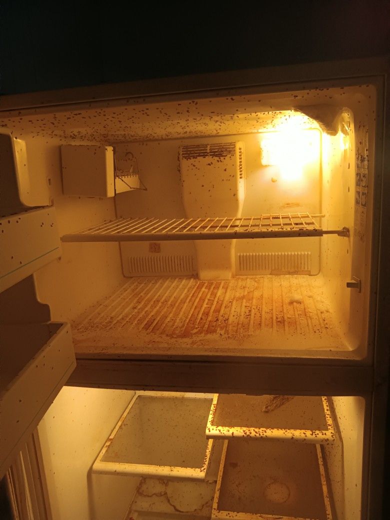 May Tag Refrigerator