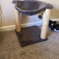 Cat Post