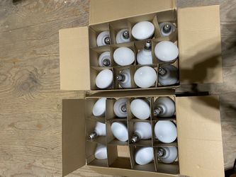 Philips BR40 Flood Light Bulbs
