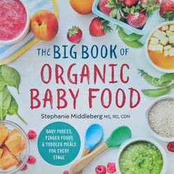 The Big Book of Organic Baby Food Book