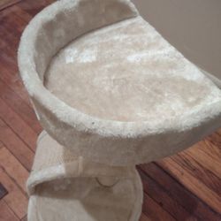 Cat Lounge