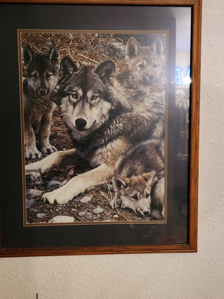 Wolf Collection 