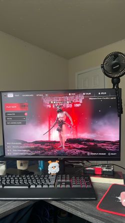 Gaming Monitor