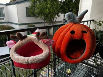 Guinea Pig Holiday Beds/ Outfits