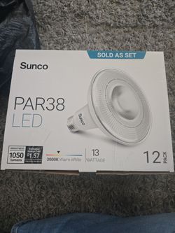 Suncoast LED lights