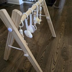 Comfy Cubs Baby Play Gym Set