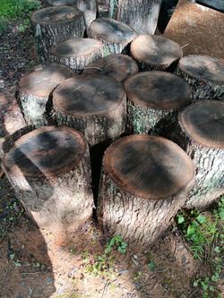 Firewood