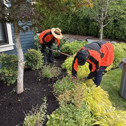 Lawn and Landscape Maintenance 